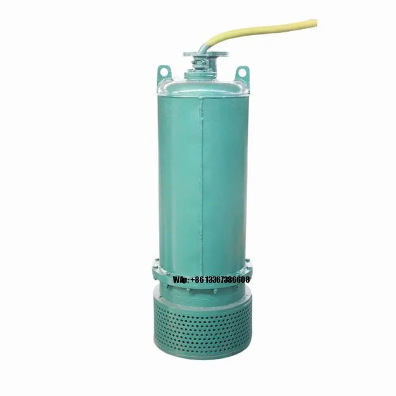 High Efficiency Cast Iron Cent - Water Pump Submersible recension och pris