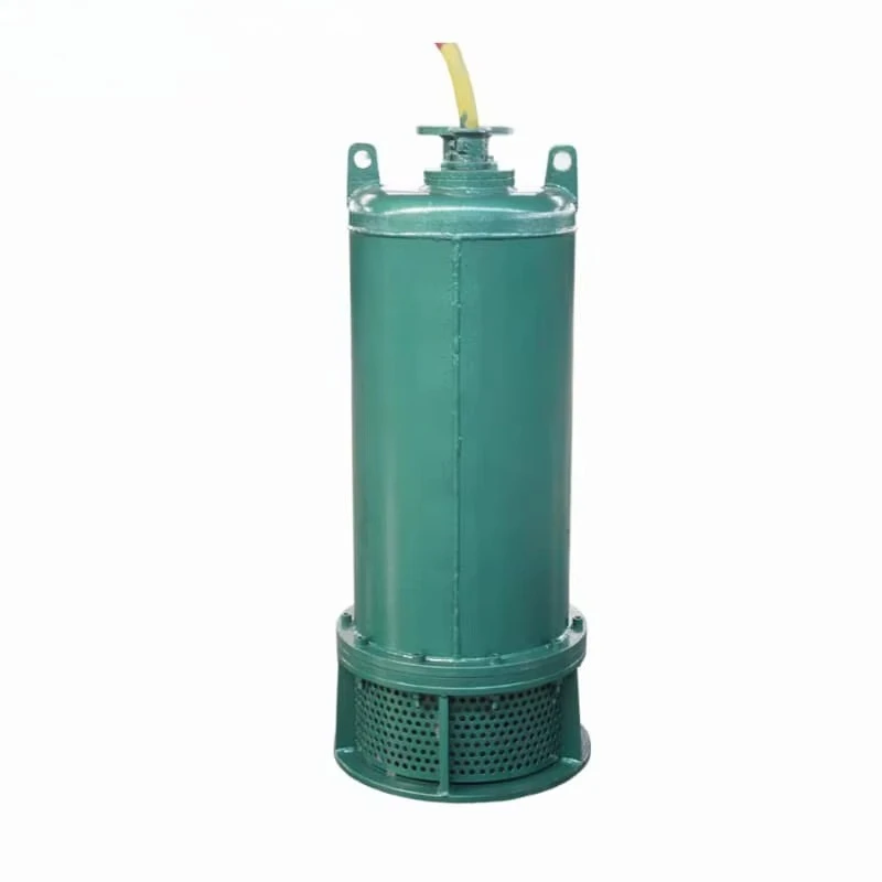 High Efficiency Cast Iron Cent - Water Pump Submersible recension och pris